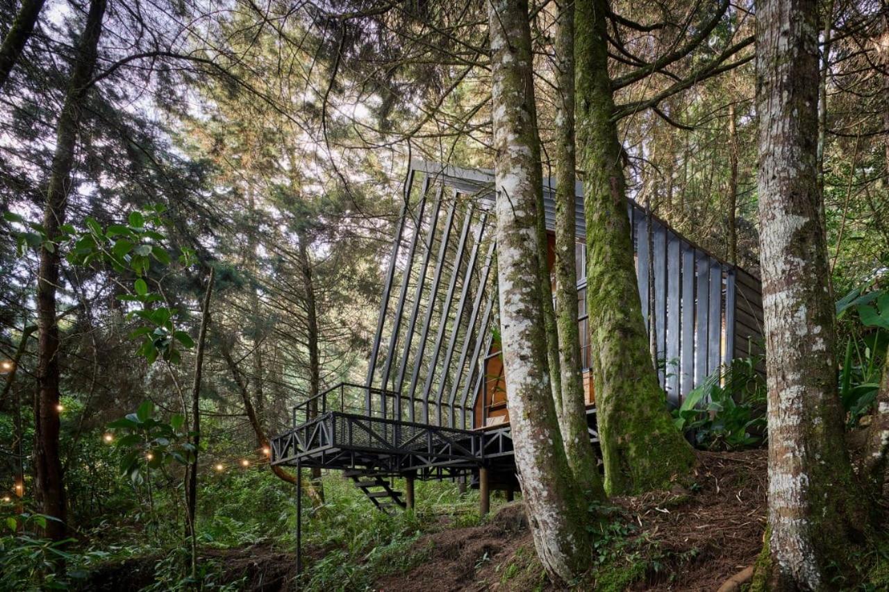 Готель Oculto Refugio De Bosque Енвіґадо Екстер'єр фото
