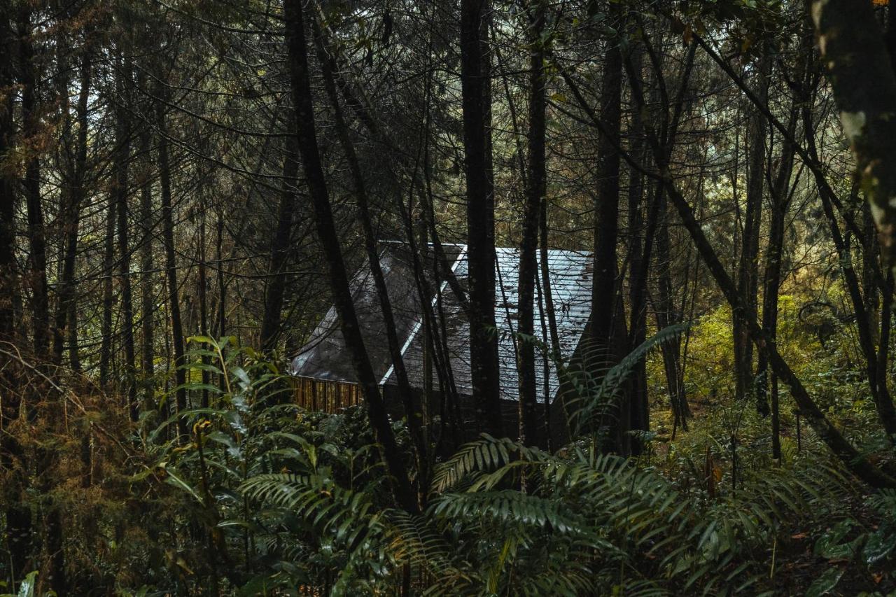 Готель Oculto Refugio De Bosque Енвіґадо Екстер'єр фото